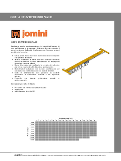 carroponte torsionale - 